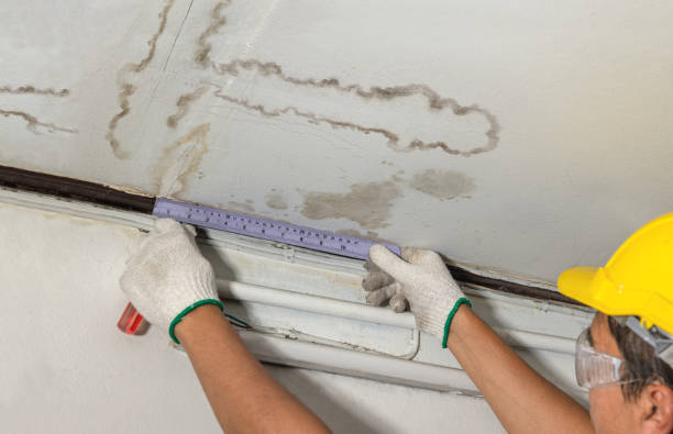 Reliable Mold Remediation contractor in Sunfield, MI by Water Damage Irwin